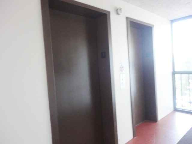 244 Saint Augustine Ave #304 - Photo 3 of 22