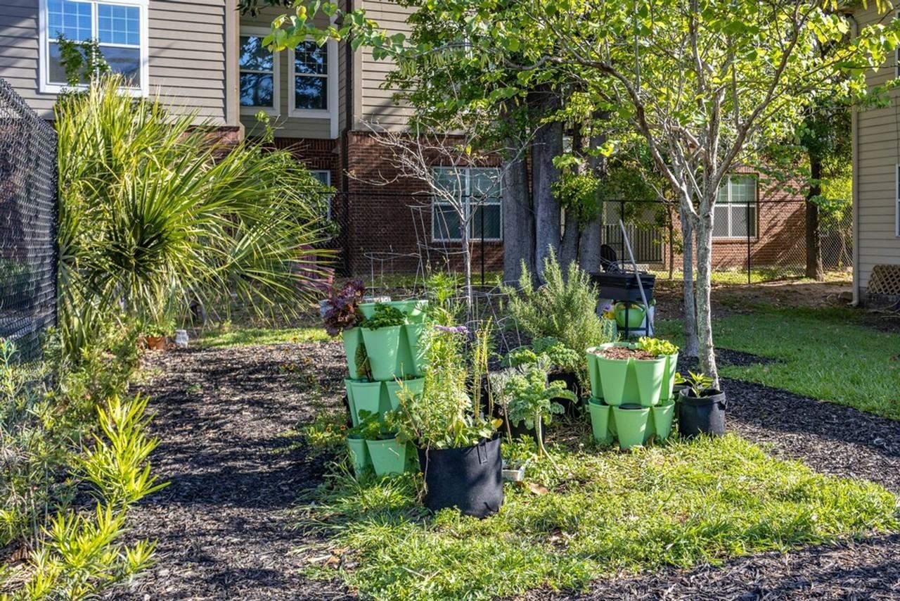 322 Conradi St Apt 2a #2A - Photo 6 of 17