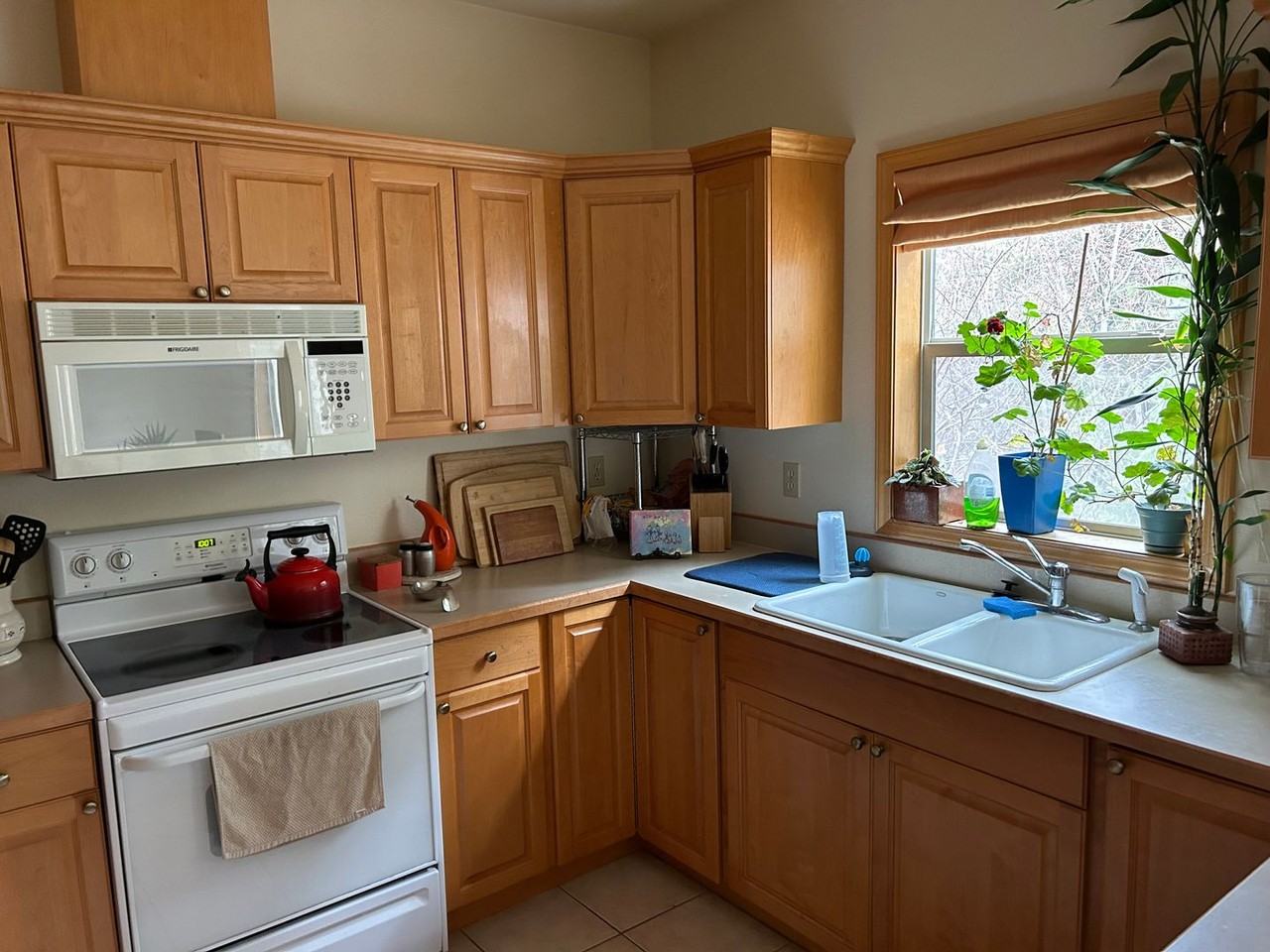 704 Stoner Loop - Photo 3 of 17