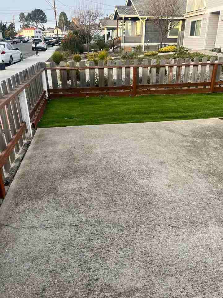 1126 Market Ave - Photo 3 of 14