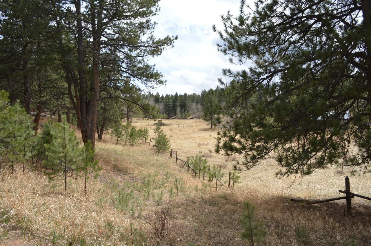 28400 State Highway 67 - Photo 5 of 21