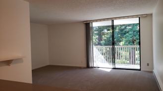 2322 Shelter Creek Ln - Photo 1 of 1