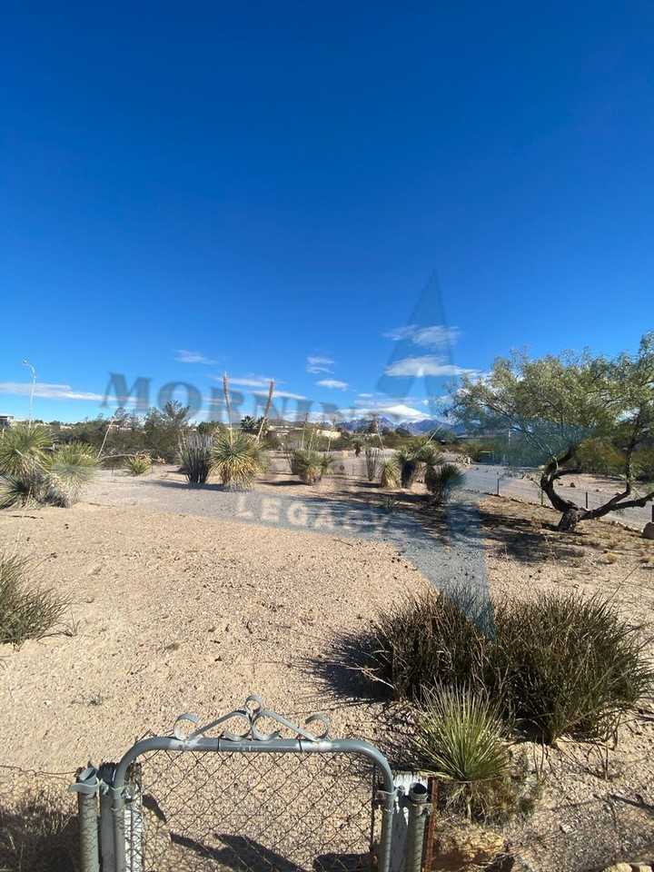 4162 Sotol Ct - Photo 3 of 42