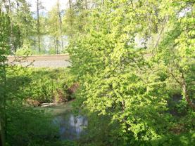 The Treetops - Photo 1 of 1