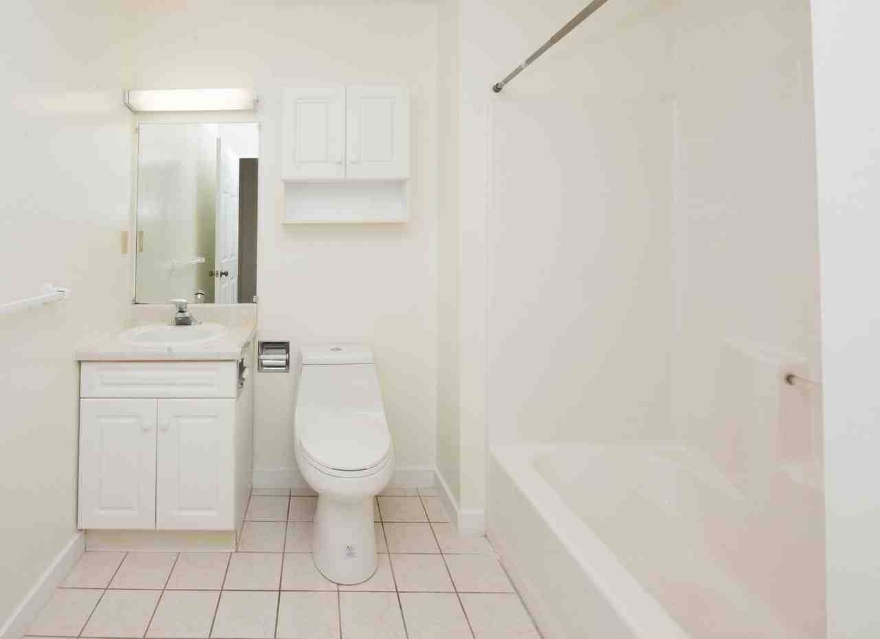 Chestnut Hill East - Photo 5 of 32