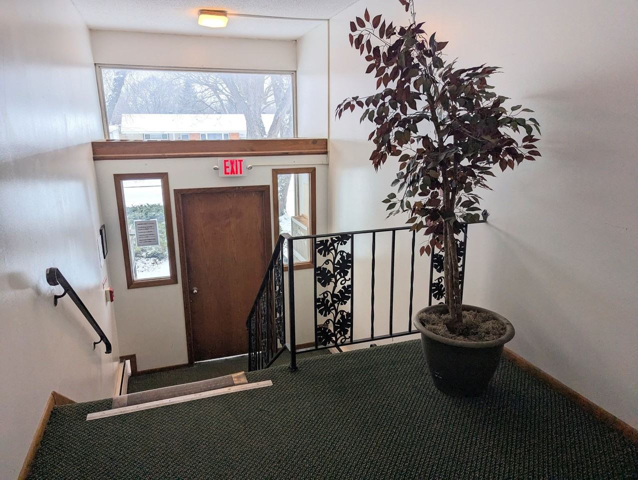 Star lane Apartments - Photo 4 of 4