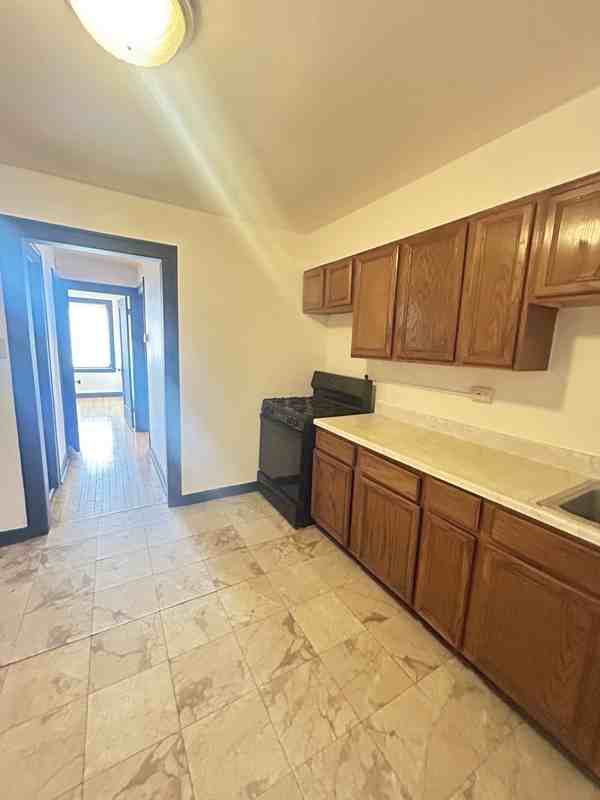 8909 S Cottage Grove Ave - Photo 2 of 8