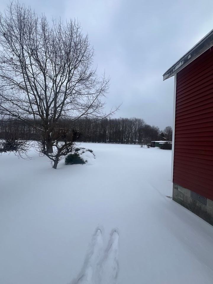 1681 Lake St - Photo 2 of 12