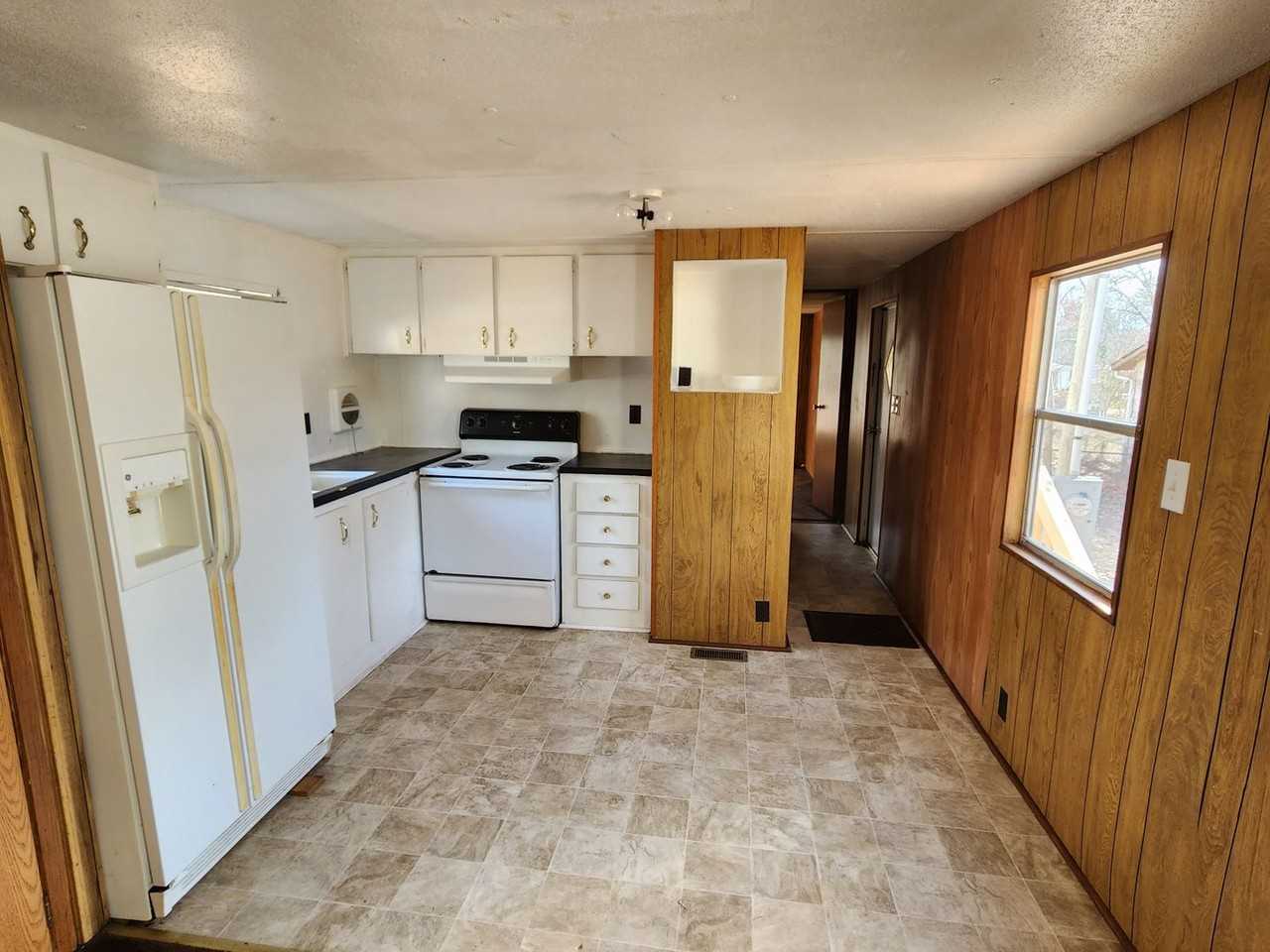 Buddy and Van Dyke - Photo 2 of 23