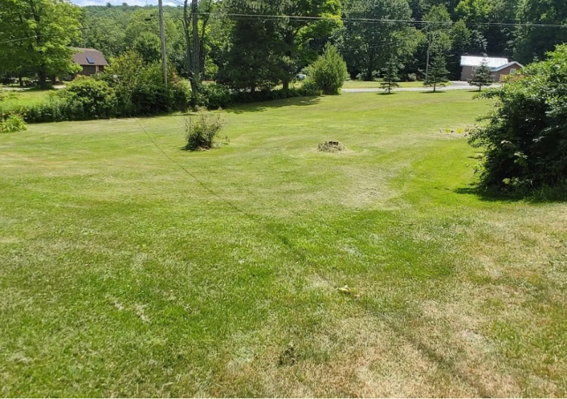 863 Nowlan Rd - Photo 3 of 17