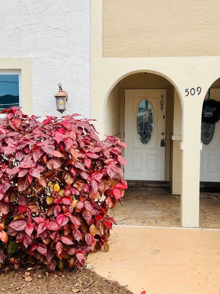 509 Se 5th Ave - Photo 3 of 19