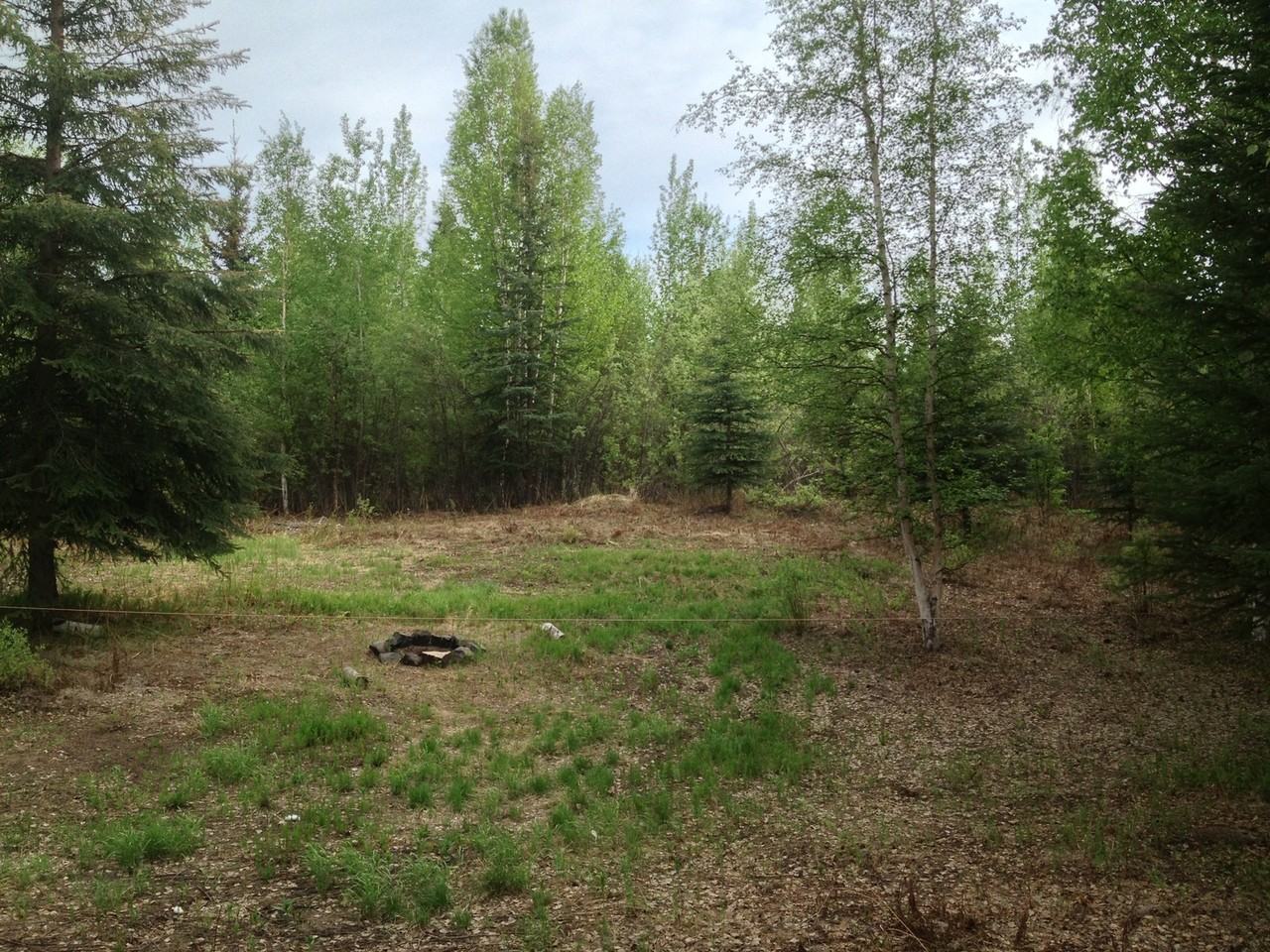 1935 Jupiter Dr - Photo 3 of 8