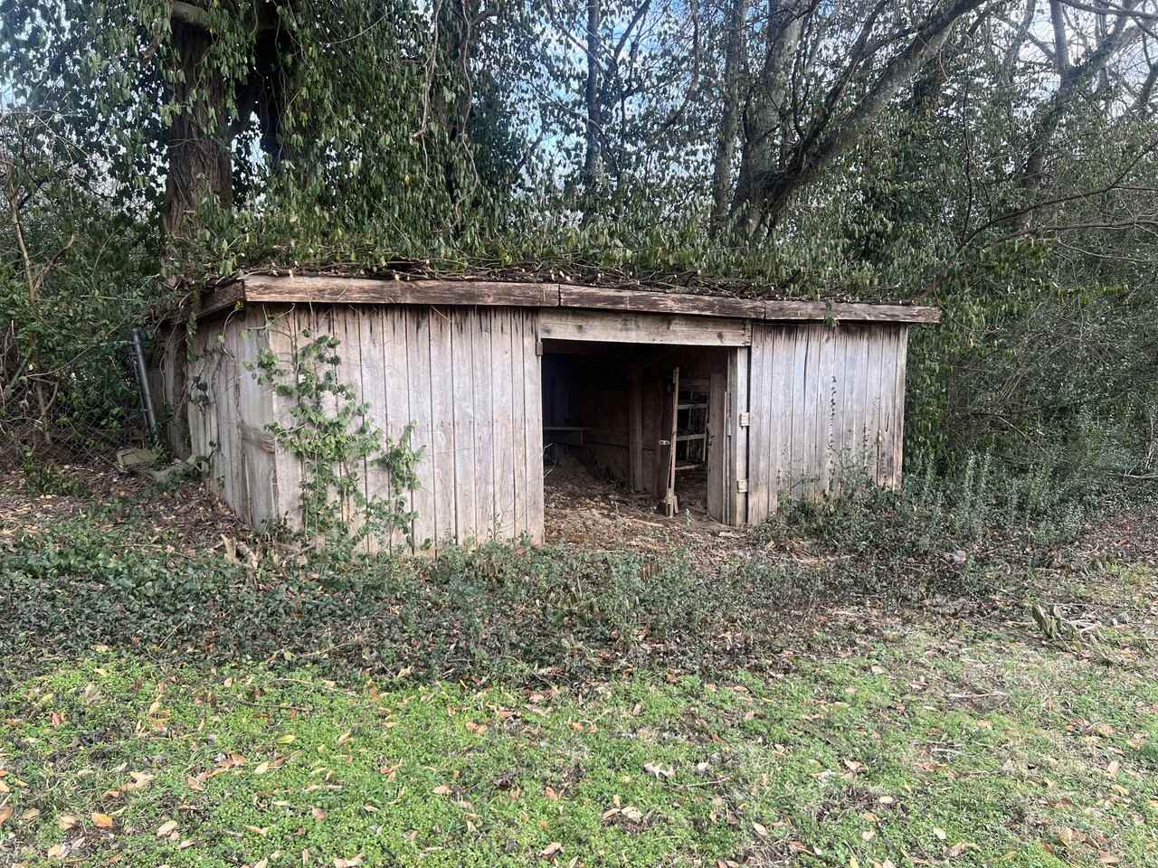 9904 Old Highway - Photo 3 of 25