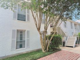 Essex View Apartments - Photo 1 of 1