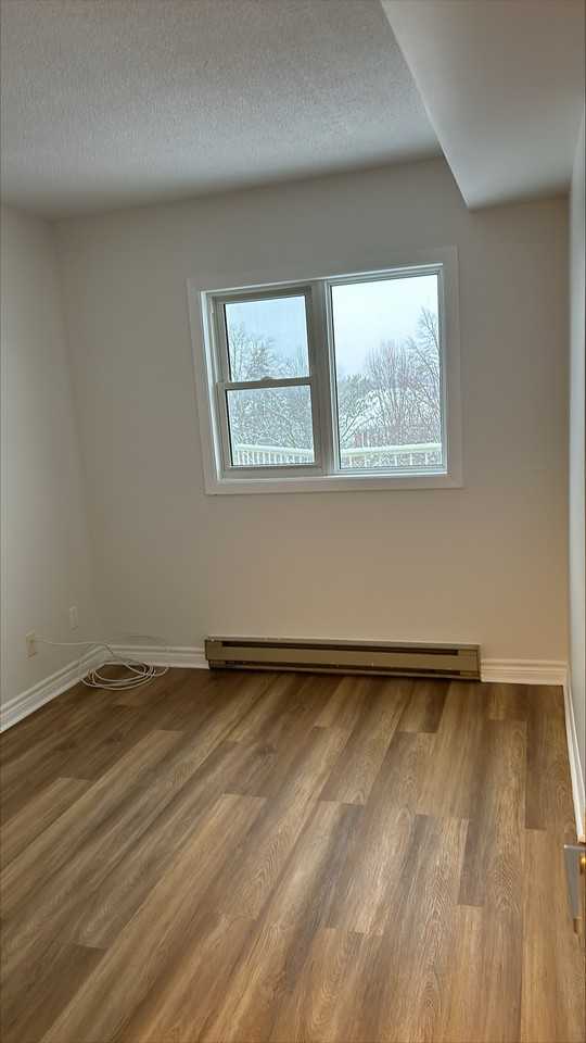 57 Bateman Drive #314 - Photo 3 of 8
