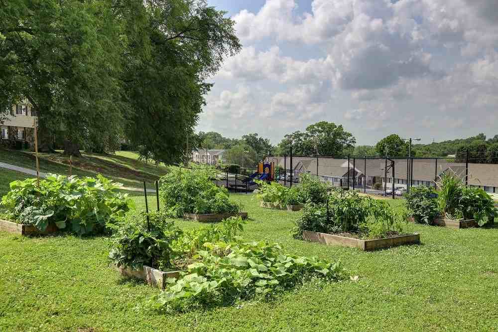 Biltmore Place - Photo 5 of 19