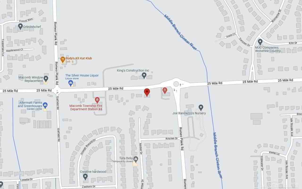 16984 25 Mile Rd - Photo 4 of 6