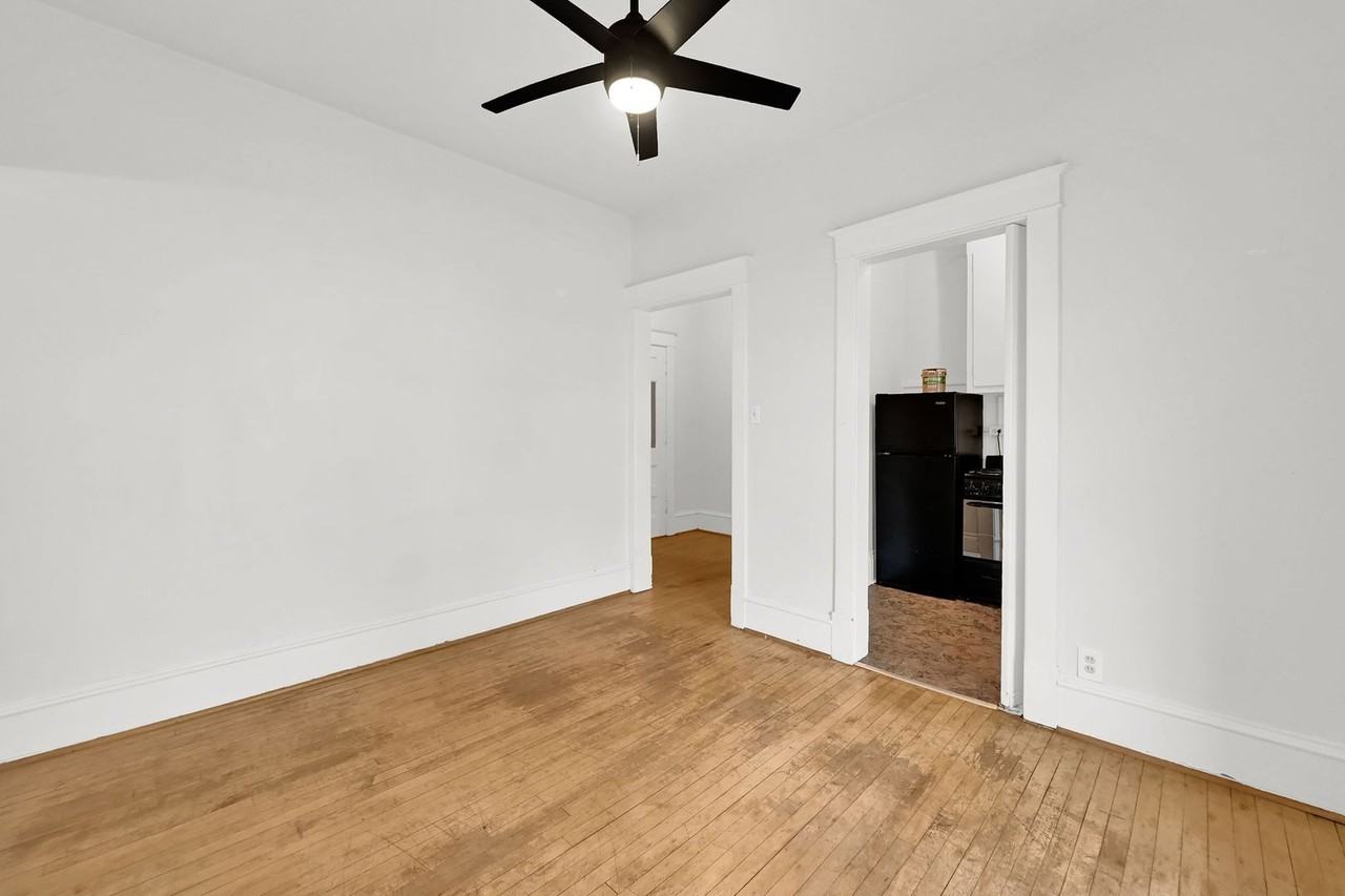 Swallow - Photo 2 of 14