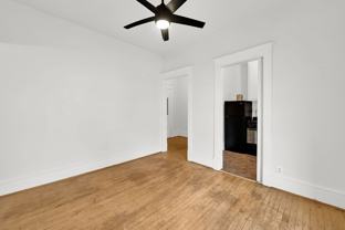 Swallow - Photo 1 of 1