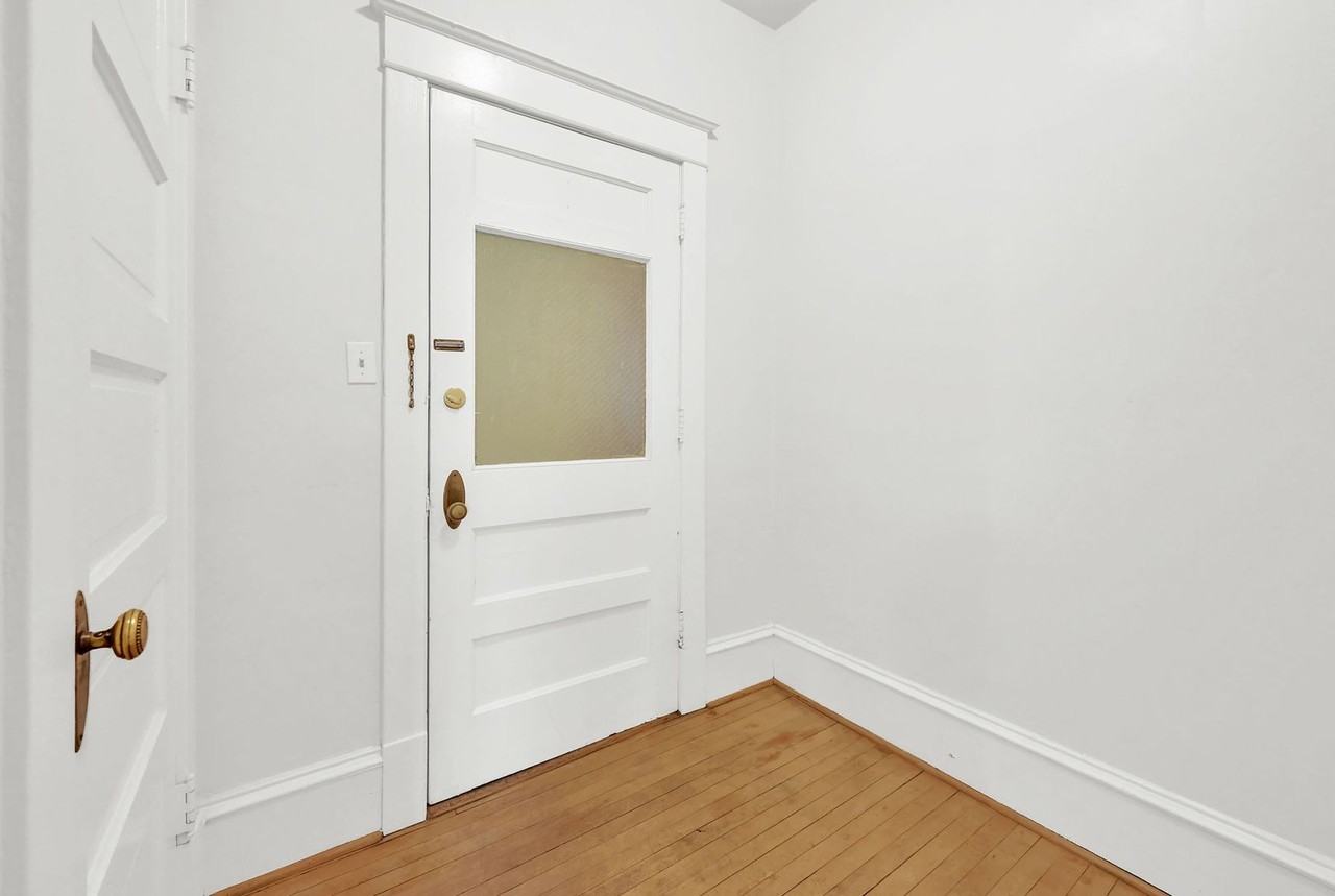 Swallow - Photo 6 of 14