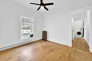 Swallow - Photo 1 of 1