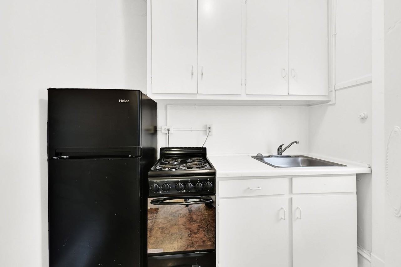 Swallow - Photo 3 of 14