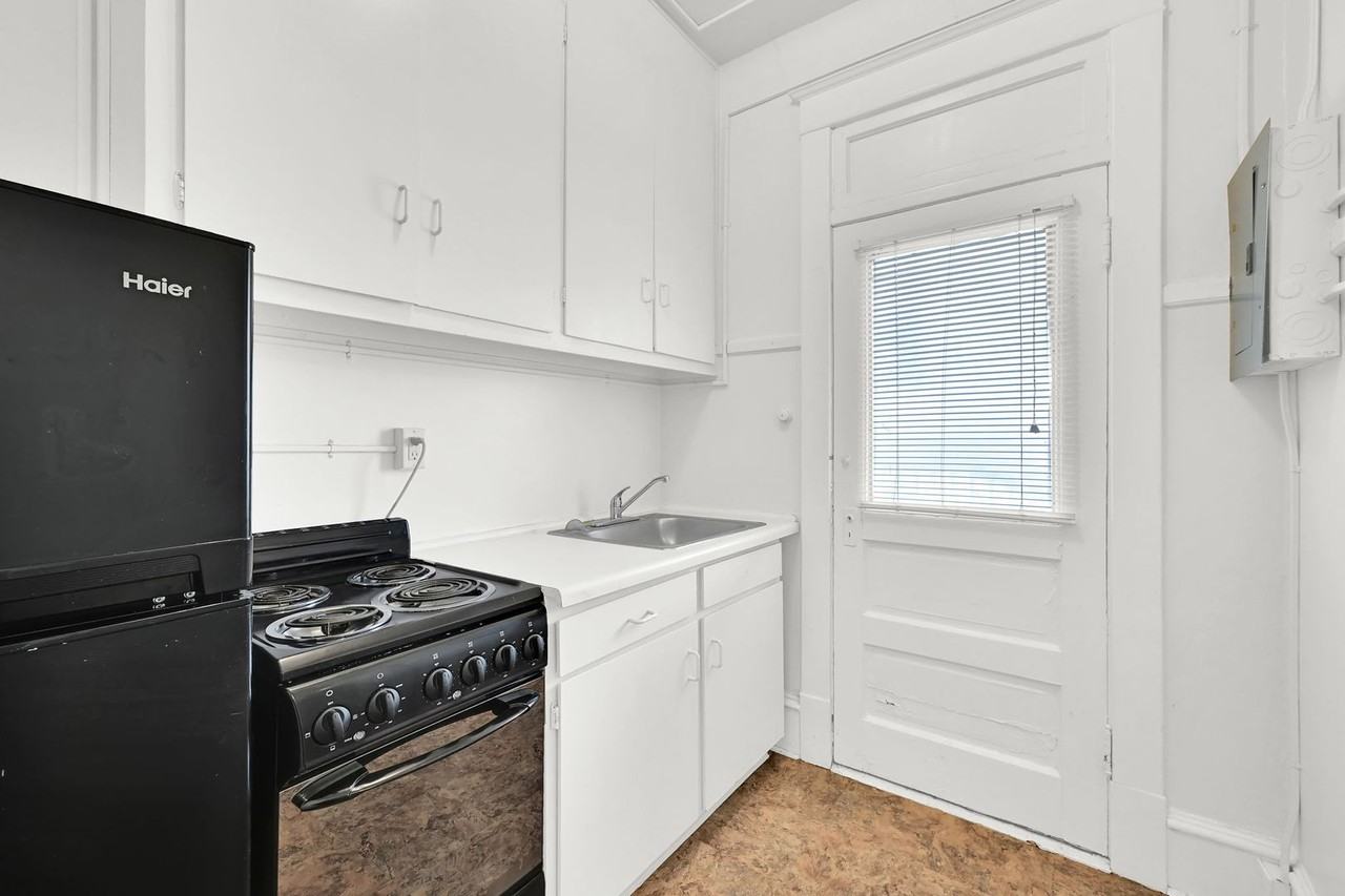 Swallow - Photo 4 of 14