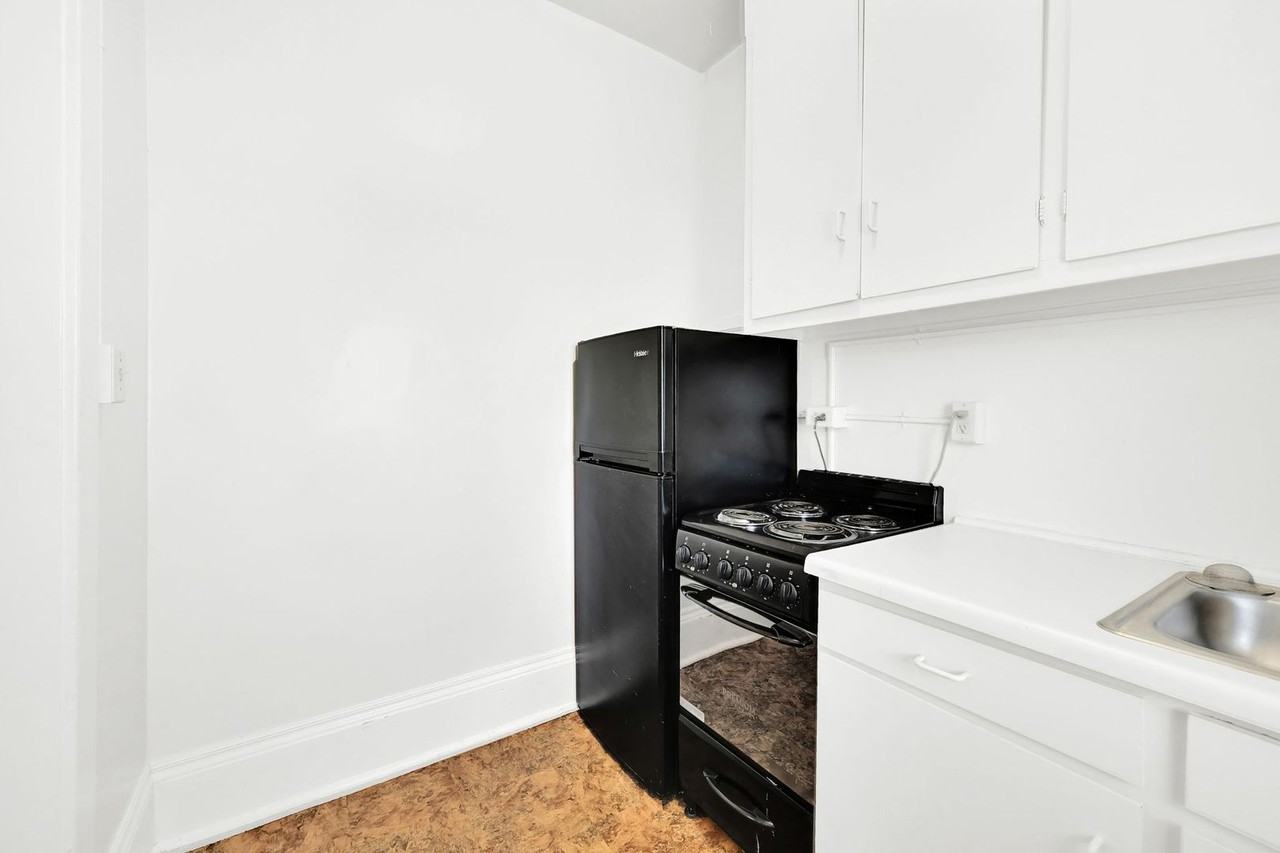 Swallow - Photo 5 of 14