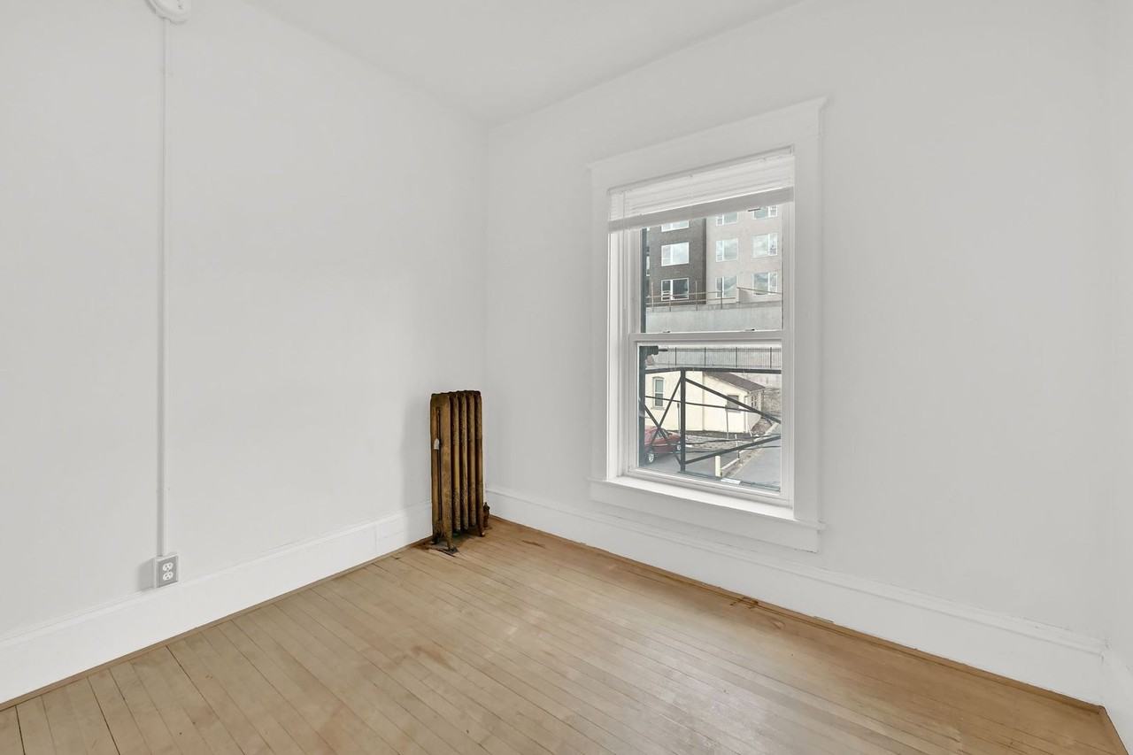 Swallow - Photo 7 of 14