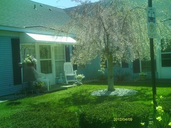 Lawndale - Photo 6 of 24