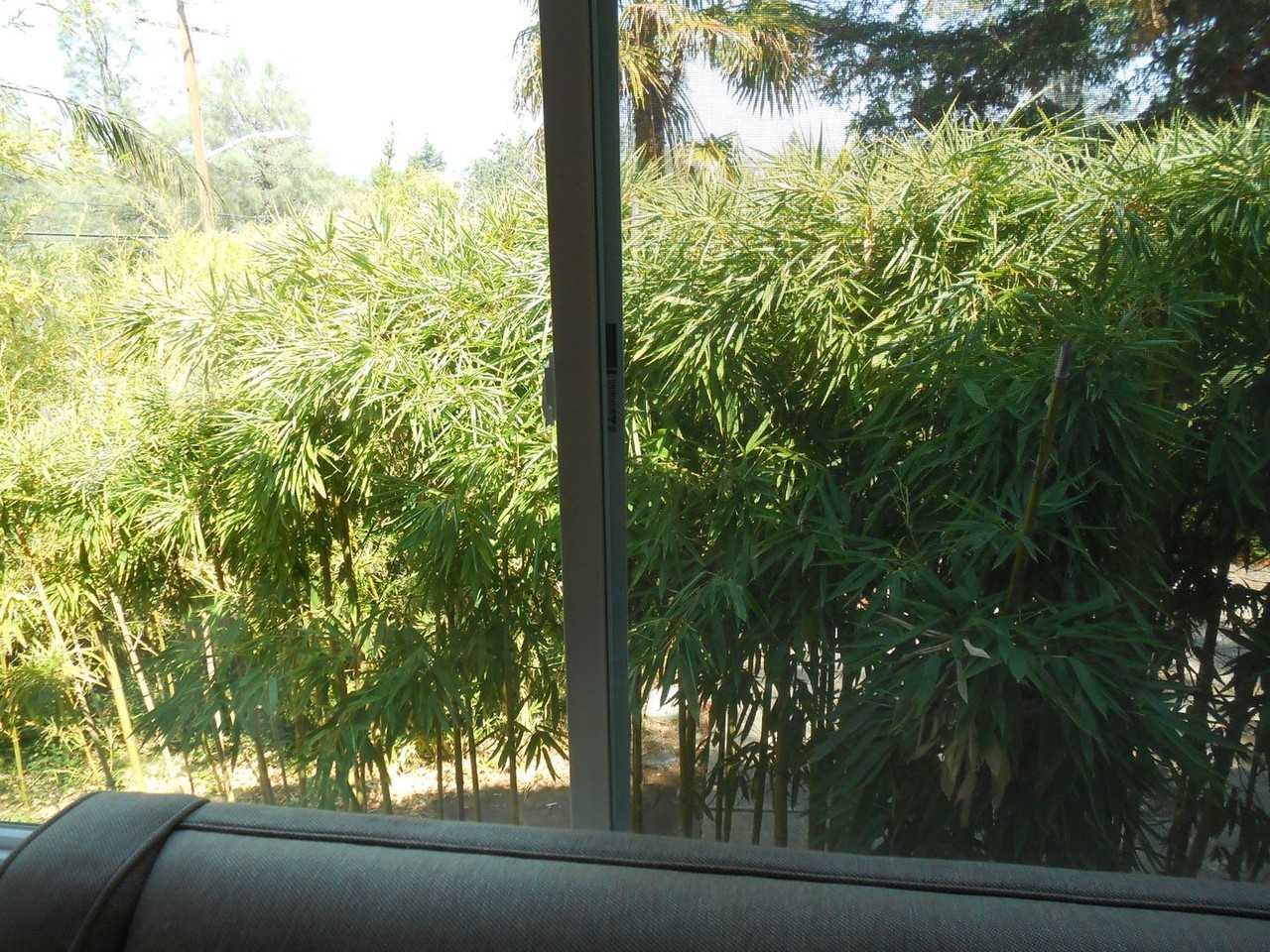 2025 Sonoma St - Photo 4 of 14