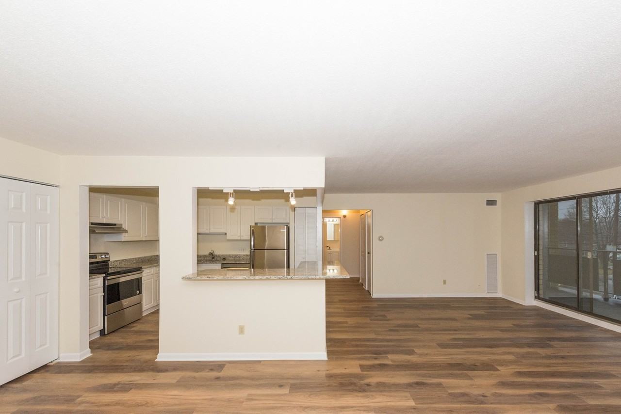 Chestnut Hill South - Photo 7 of 30