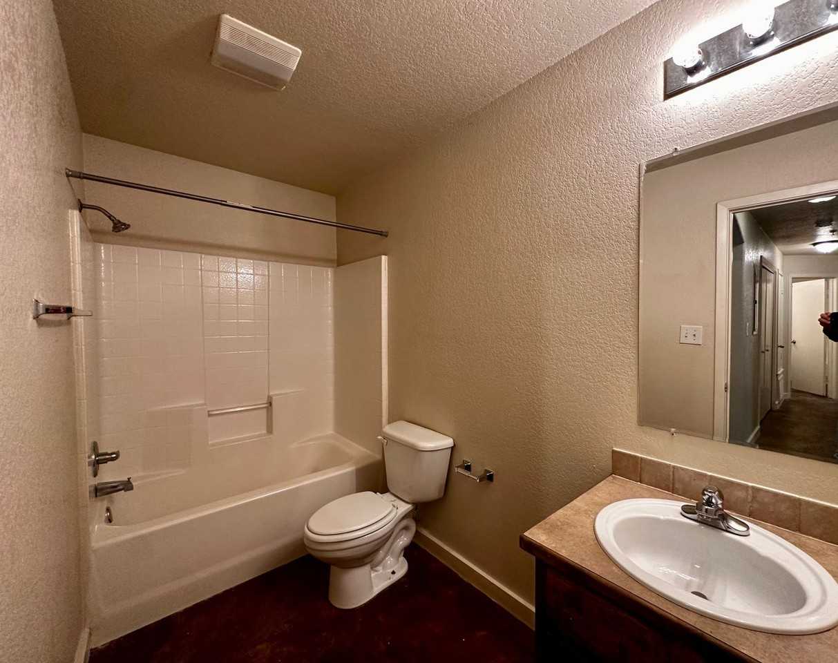 The Alamo Apartments – Spacious 3 - Photo 5 of 11