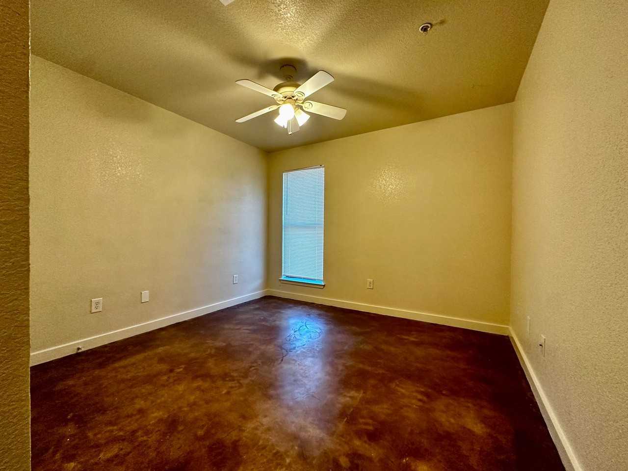 The Alamo Apartments – Spacious 3 - Photo 6 of 11