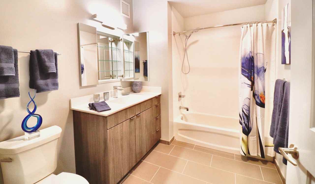 1025 W Addison St #1-1 - Photo 4 of 27