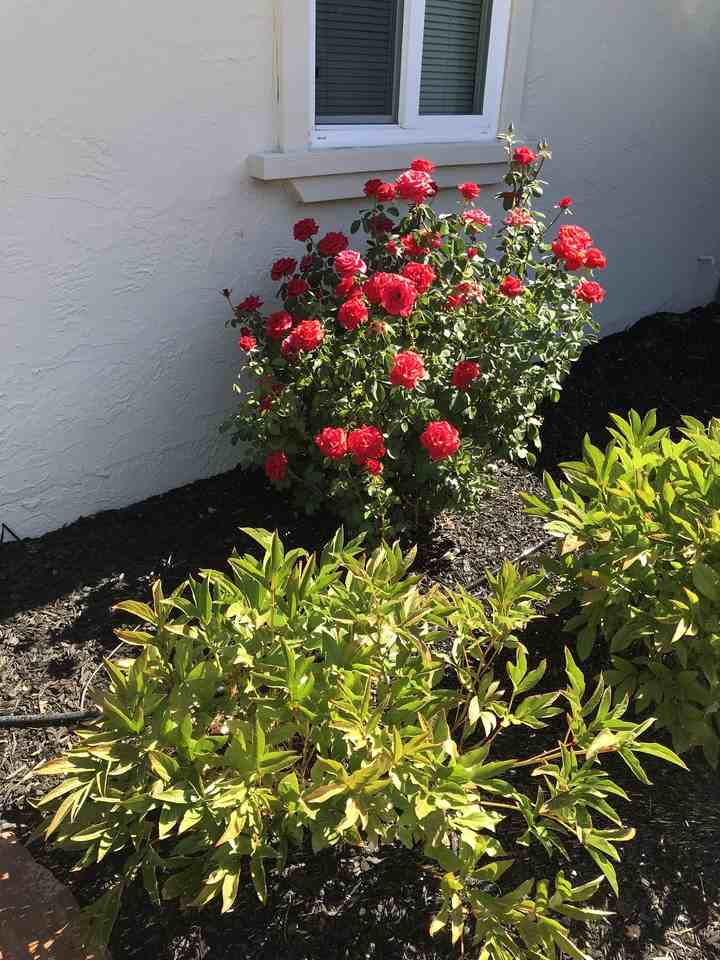 7511 May Way #NA - Photo 3 of 17