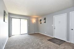 Shady Hollow - Photo 1 of 1