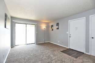 Shady Hollow - Photo 1 of 1