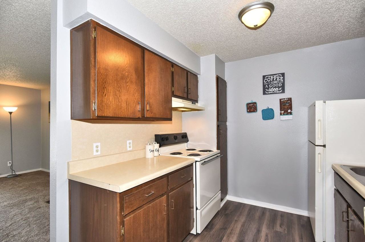 Shady Hollow - Photo 4 of 50