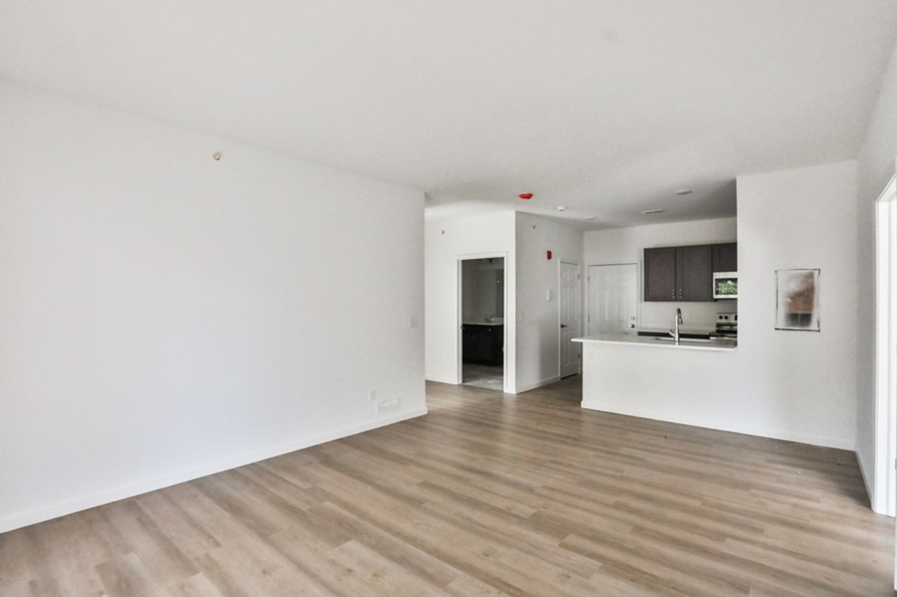 30 Pine Lane Apartments - Photo 4 of 39