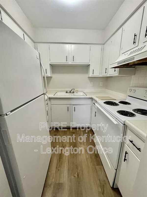 429 Chestnut St #16 - Photo 4 of 15