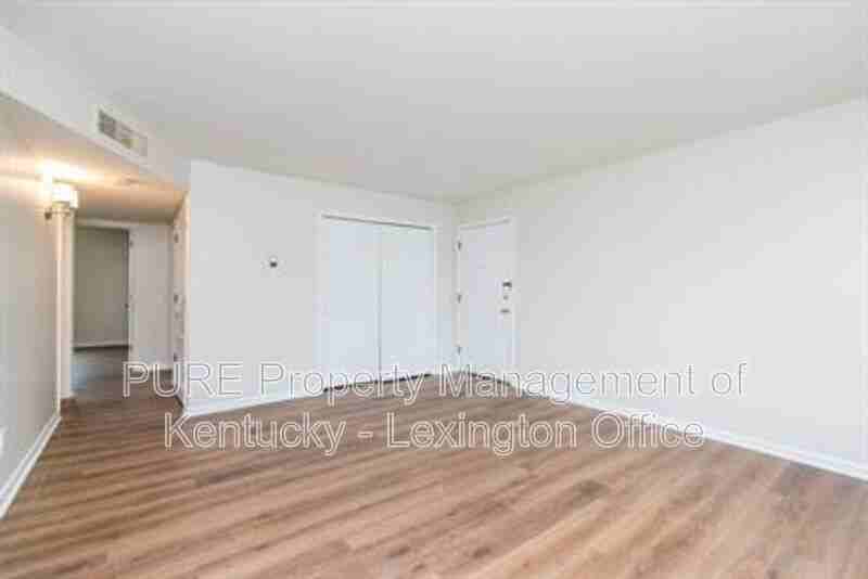 429 Chestnut St #16 - Photo 6 of 15