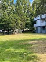 Waterfall Apartments - Photo 1 of 1