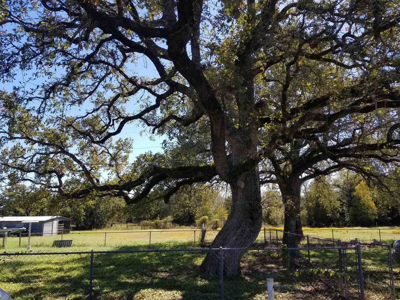 4404 State Highway 159 - Photo 3 of 22