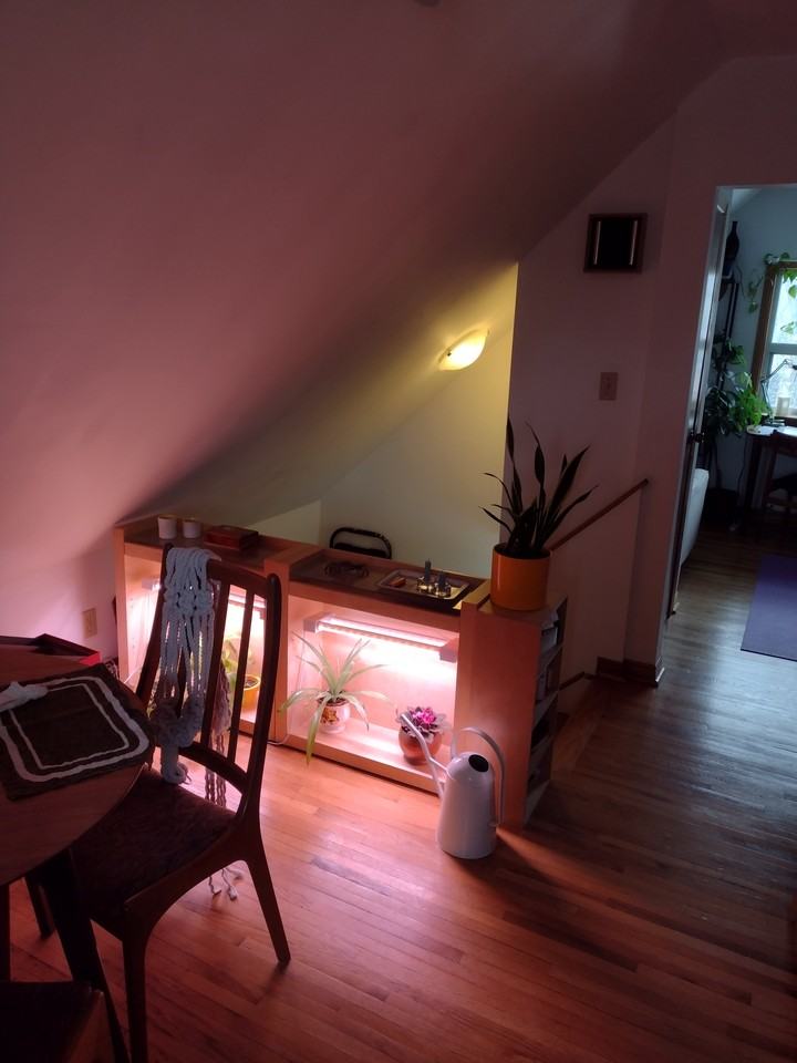 123 Mavety Street - Photo 3 of 18