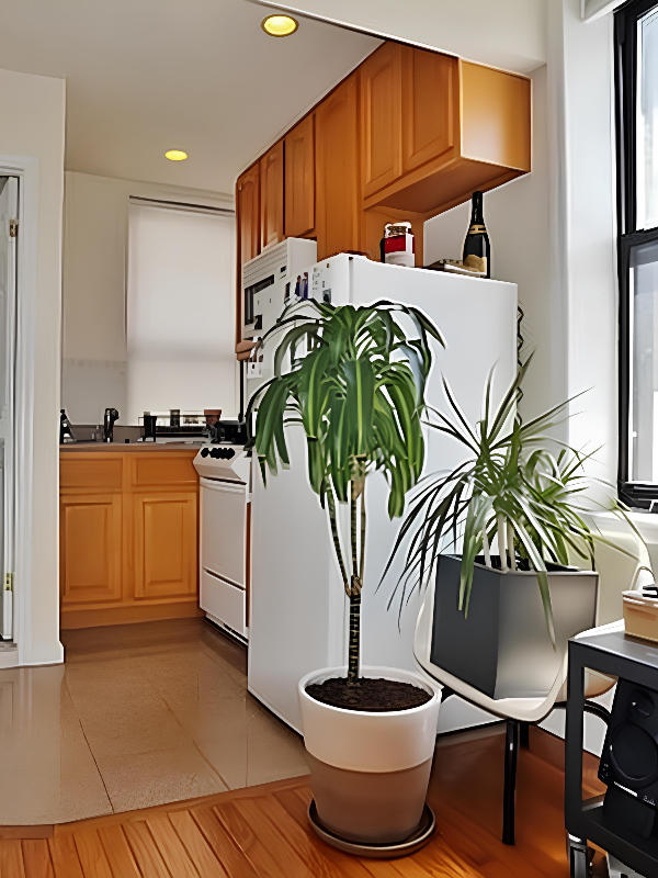 15X Sussex St #4 - Photo 3 of 7