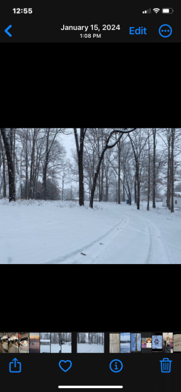 3503 Holly Ave - Photo 3 of 6