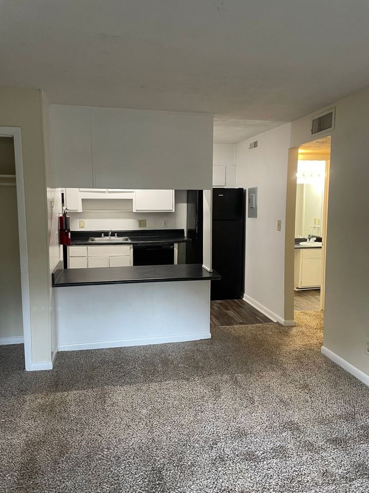 Willow Branch Apartments - Photo 7 of 11