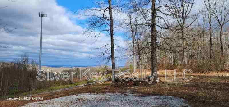 530 Ridge Top Ln - Photo 3 of 5