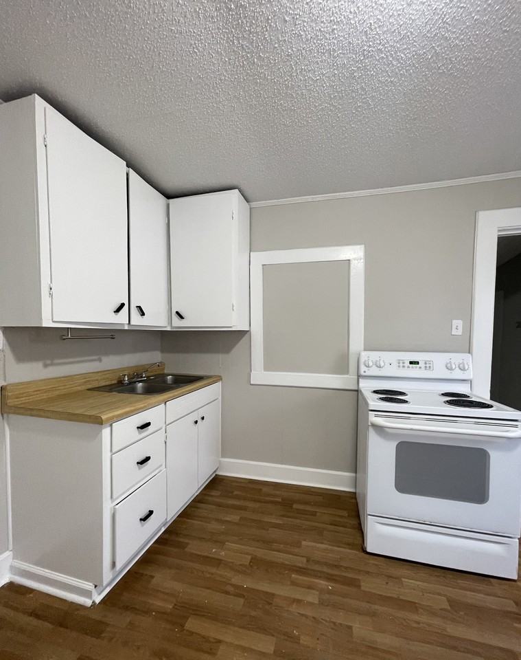 1609 Hollyleaf Ave - Photo 3 of 11